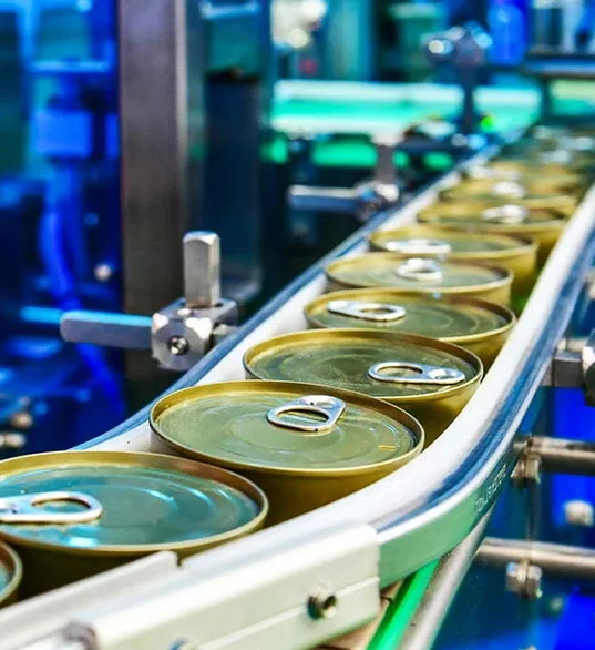 Food Processing